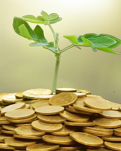 CHS provides expert facilities for self-directed IRA accounts.